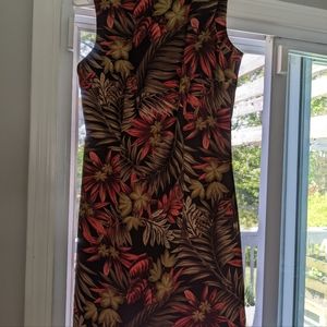 Dressbarn dress size 8
